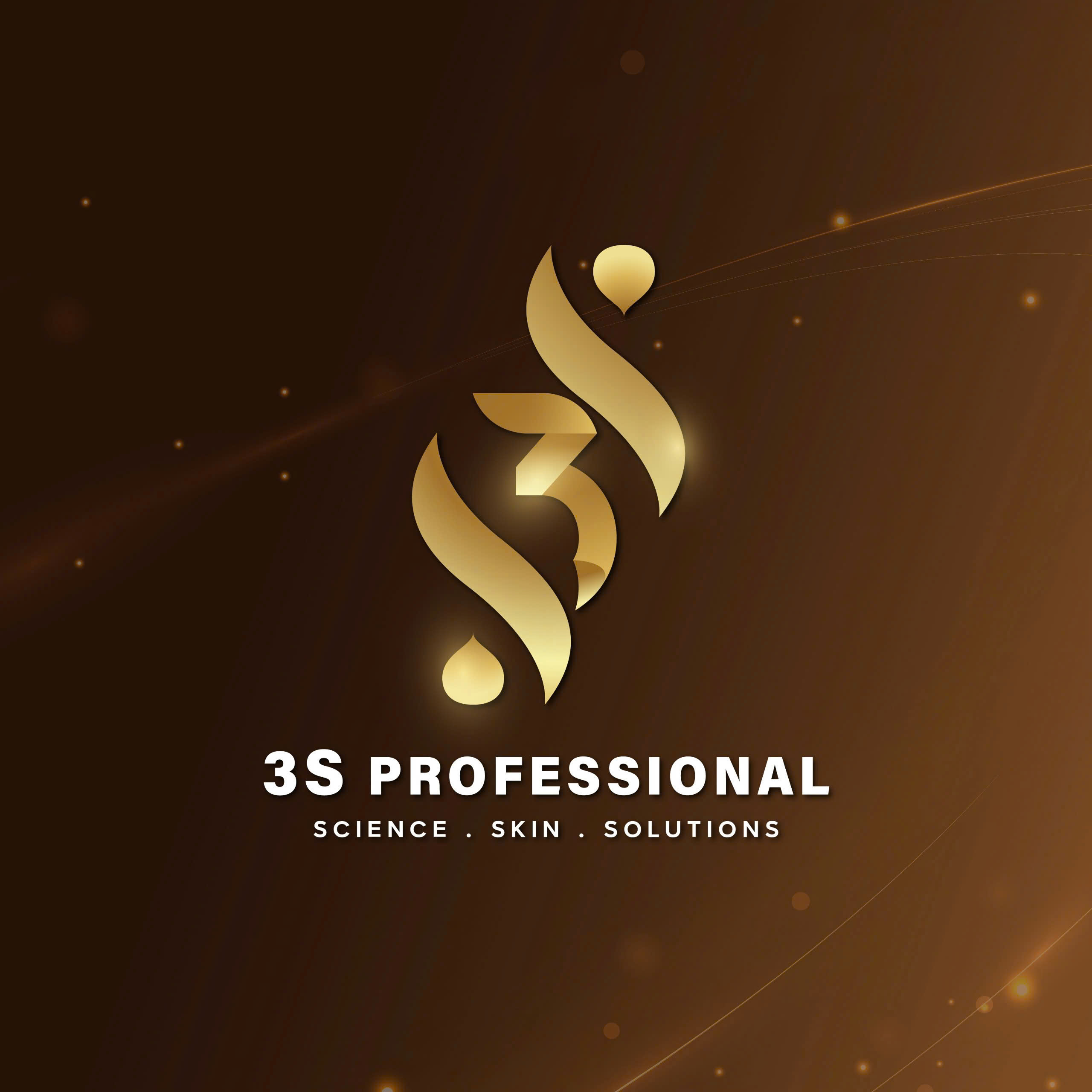 3S PROFESSIONAL